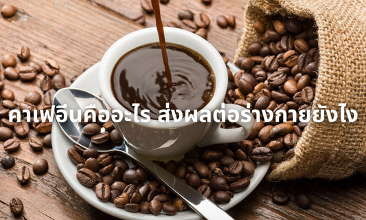 คาเฟอีนคืออะไร ส่งผลต่อร่างกายยังไง | Caffeine Effect อธิบายเข้าใจง่าย