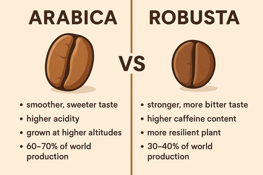 ☕ Arabica vs Robusta ต่างกันยังไง?