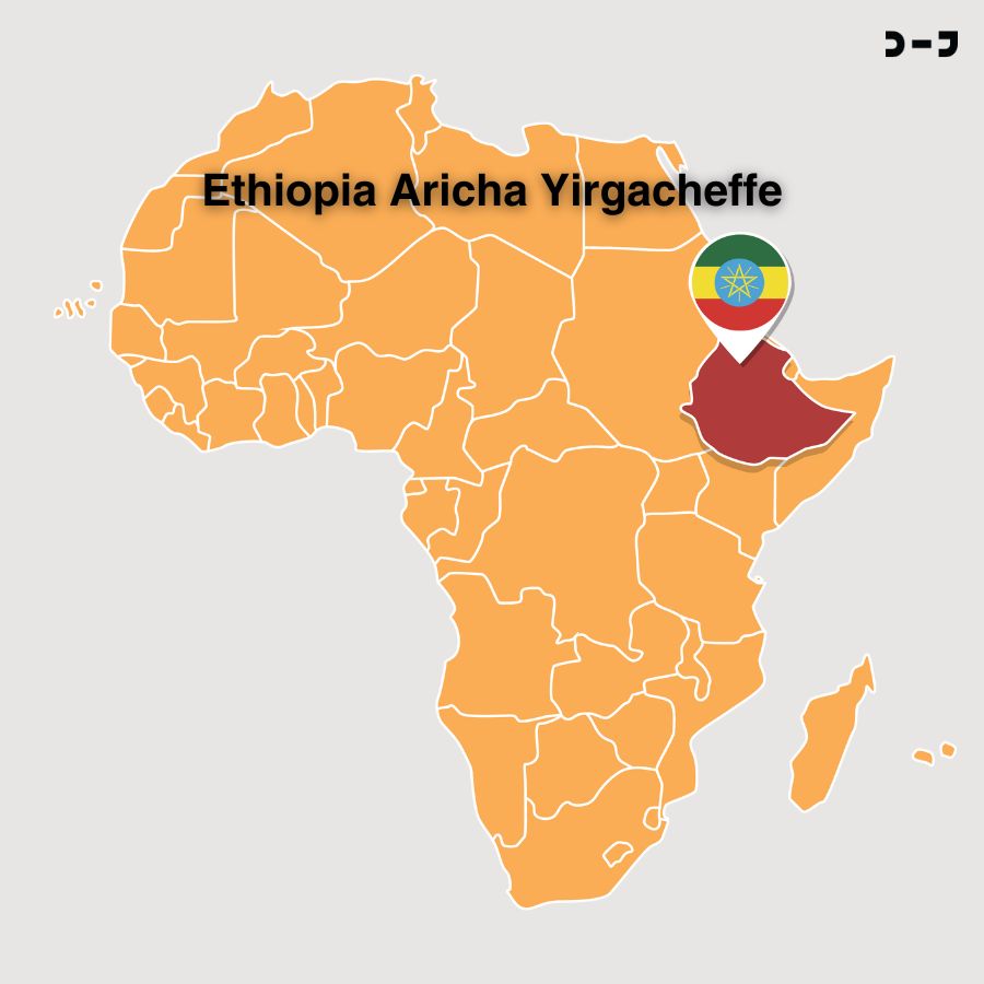 เมล็ดกาแฟ Ethiopia Aricha, Yirgacheffe - กาแฟเอธิโอเปีย