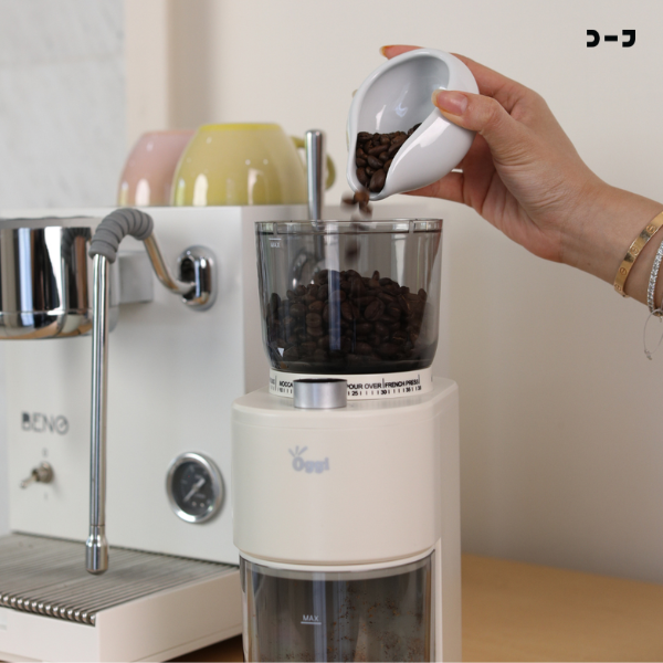 BENO BILICO เครื่องชงกาแฟสดกึ่งอัตโนมัติ ตาชั่งดิจิทัลในตัว ชงแม่นยำทุกแก้ว ดีไซน์สวยหรู หัวชง 58 มม. ระบบ PID 19 บาร์
