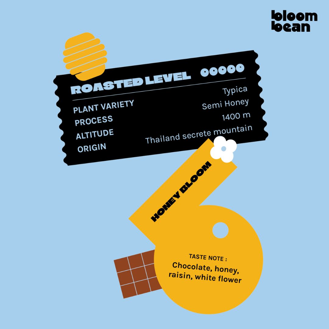 Bloom Bean Starter Pack – ชุดเริ่มต้น 3 รส (30 แคปซูล)