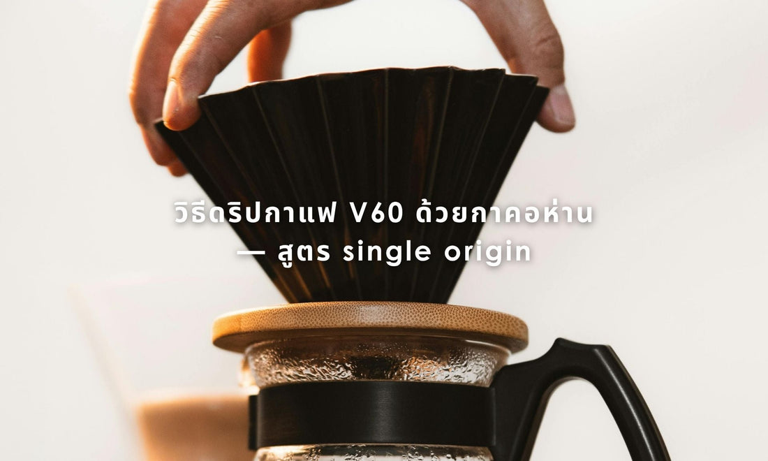 วิธีดริปกาแฟ V60 ฉบับ Single Origin