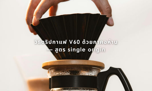 วิธีดริปกาแฟ V60 ฉบับ Single Origin
