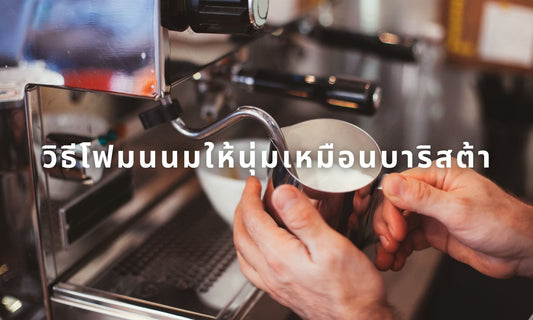 วิธีตีโฟมนมให้นุ่มเหมือนบาริสต้า (วิธีตีฟองนม how to froth milk)