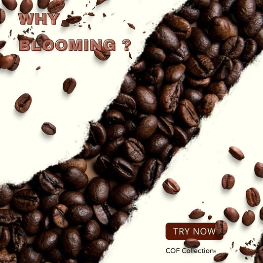 Coffee bloom during brewing