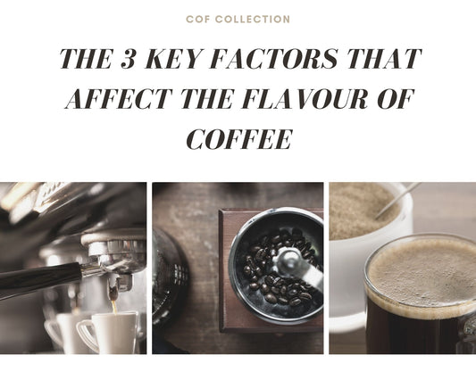 THE 3 KEY FACTORS THAT AFFECT THE FLAVOUR OF COFFEE