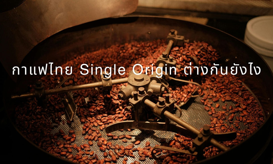 ดอยช้าง vs ปางขอน vs ดอยป่าฮี — กาแฟไทย Single Origin ต่างกันยังไง