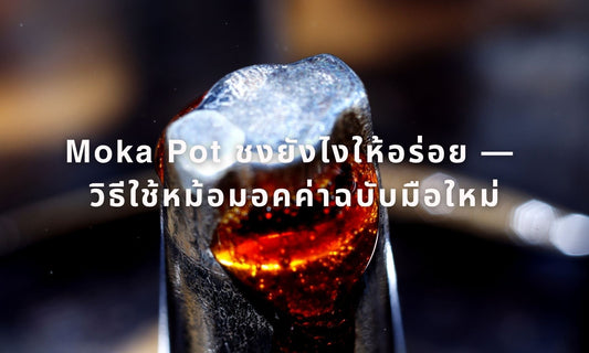 Moka Pot ชงยังไงให้อร่อย — วิธีใช้หม้อมอคค่าฉบับมือใหม่