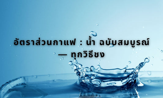 อัตราส่วนกาแฟ : น้ำ ฉบับสมบูรณ์ — ทุกวิธีชง