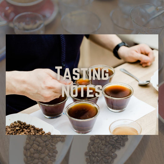 Coffee taste notes flavor profile