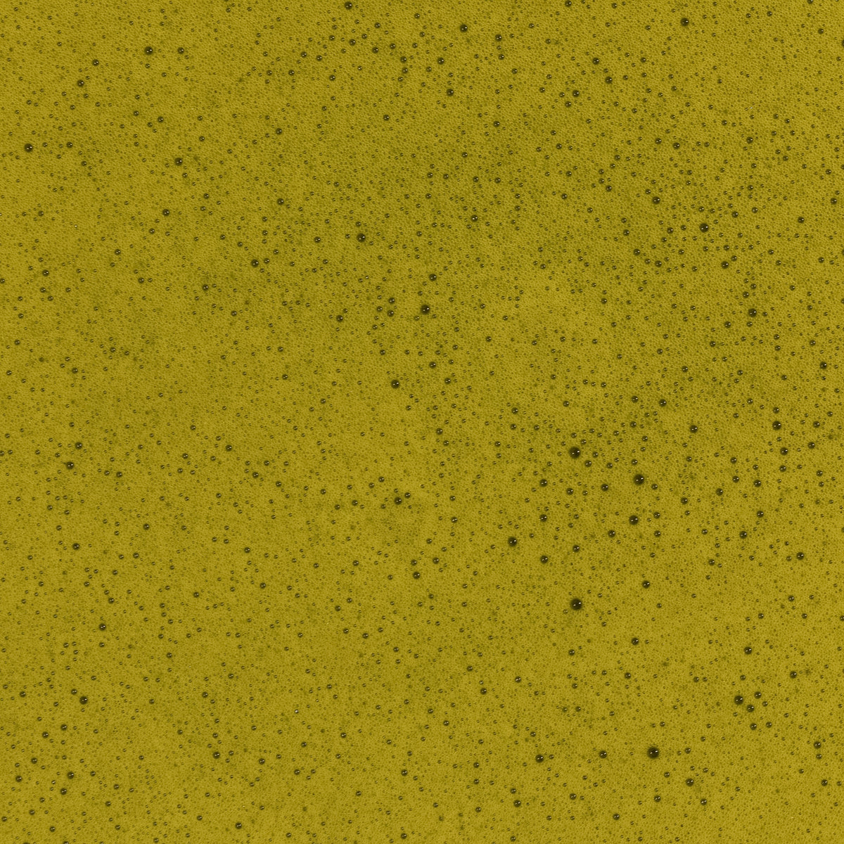 COF Matcha