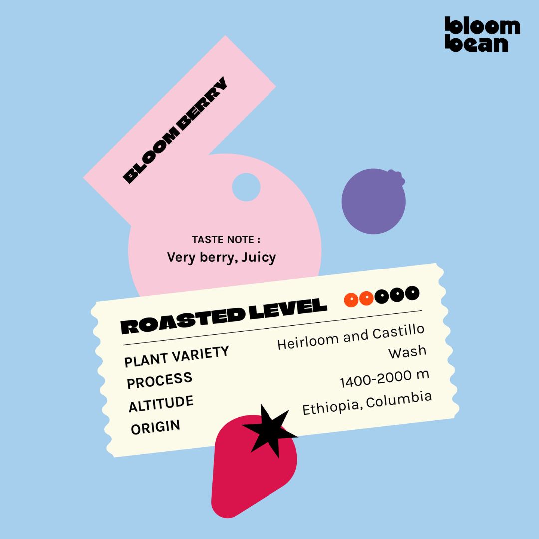 กาแฟแคปซูล Bloom Bean ถัวยอลูมิเนียม ใช้กับเครื่องชงทุกยี่ห้อที่ใช้แคปซูลขนาดเล็ก กล่องละ 10 แคปซูล