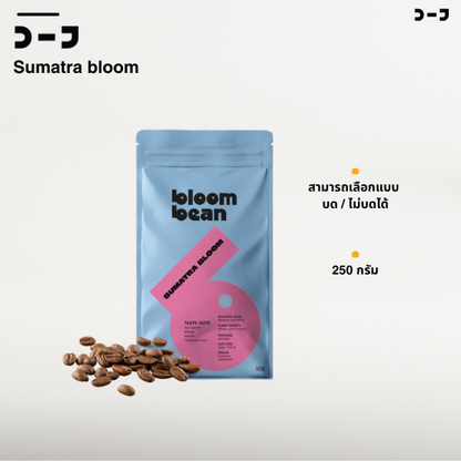 เมล็ดกาแฟ Sumatra Bloom คั่วอ่อน สายพันธุ์ ATENG GAYO