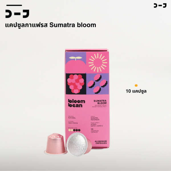 กาแฟแคปซูล Bloom Bean - Sumatra Bloom - จัดจ้าน หวานละมุน กาแฟคั่วอ่อนสายพันธุ์ ATENG, GAYO 1 และ GAYO
