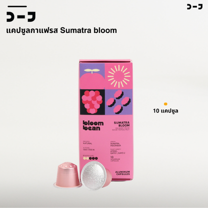 กาแฟแคปซูล Bloom Bean - Sumatra Bloom - จัดจ้าน หวานละมุน กาแฟคั่วอ่อนสายพันธุ์ ATENG, GAYO 1 และ GAYO