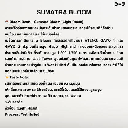 กาแฟแคปซูล Bloom Bean - Sumatra Bloom - จัดจ้าน หวานละมุน กาแฟคั่วอ่อนสายพันธุ์ ATENG, GAYO 1 และ GAYO