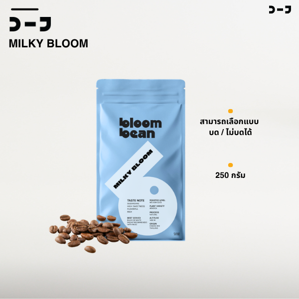 เมล็ดกาแฟคั่วอาราบิก้า 100% Bloom Bean รส Milky Bloom คั่วกลางค่อนเข้ม หอมหวาน บอดี้นุ่ม บาลานซ์ เหมาะสำหรับกาแฟใส่นม