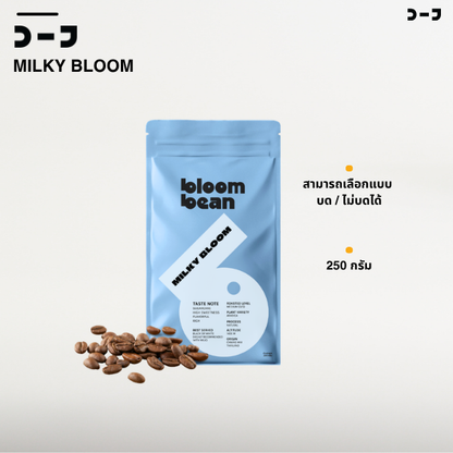 เมล็ดกาแฟคั่วอาราบิก้า 100% Bloom Bean รส Milky Bloom คั่วกลางค่อนเข้ม หอมหวาน บอดี้นุ่ม บาลานซ์ เหมาะสำหรับกาแฟใส่นม