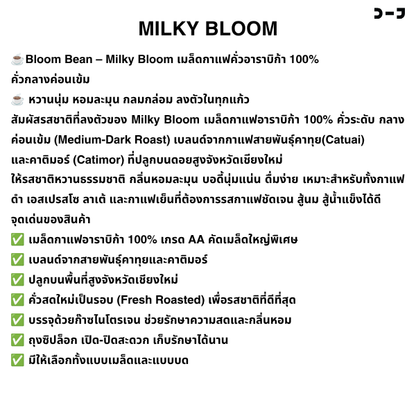 เมล็ดกาแฟคั่วอาราบิก้า 100% Bloom Bean รส Milky Bloom คั่วกลางค่อนเข้ม หอมหวาน บอดี้นุ่ม บาลานซ์ เหมาะสำหรับกาแฟใส่นม