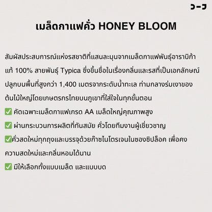 เมล็ดกาแฟคั่วกลาง Bloom Bean – รส Honey Bloom หอมละมุน เข้มกลมกล่อม ดื่มง่าย สัมผัสรสหวานมีมิติ จากกาแฟสายพันธุ์ทิปิ